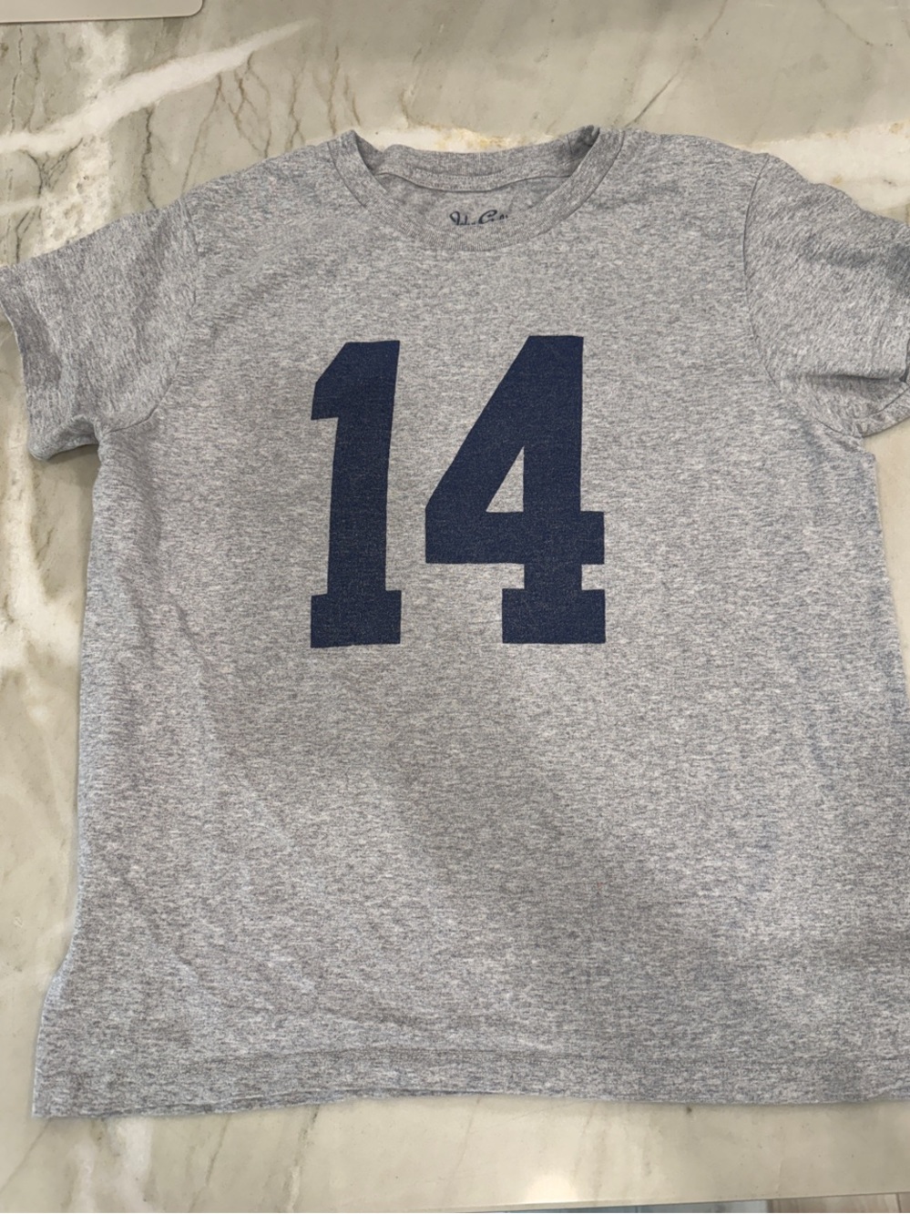 Brandy Melville Grey Heather Tee with Navy 14 Graphic